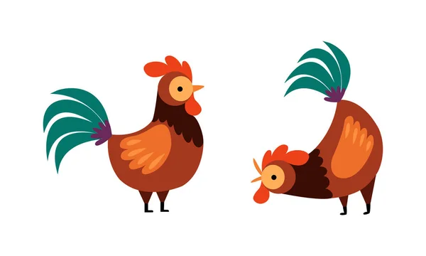 Rooster or Cock Character Crowing and Standing Vector Set — Stock Vector