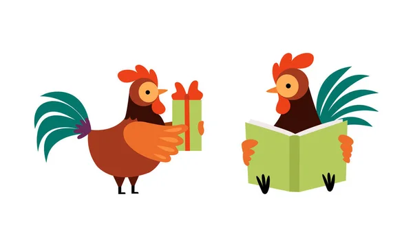 Rooster or Cock Character Reading Book and Holding Gift Box Vector Set — Stock Vector