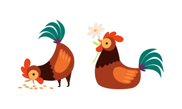 Rooster or Cock Character Picking Grain and Holding Flower Vector Set — Stock Vector