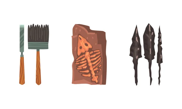 Arqueología y Paleontología Artefactos Antiguos con Huesos y Flechas Vector Set — Vector de stock
