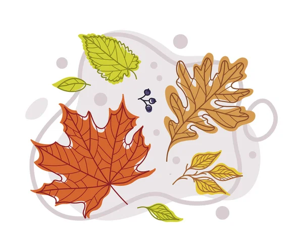 Autumn Bright Foliage with Different Leaf Color Vector Composition — Stock Vector