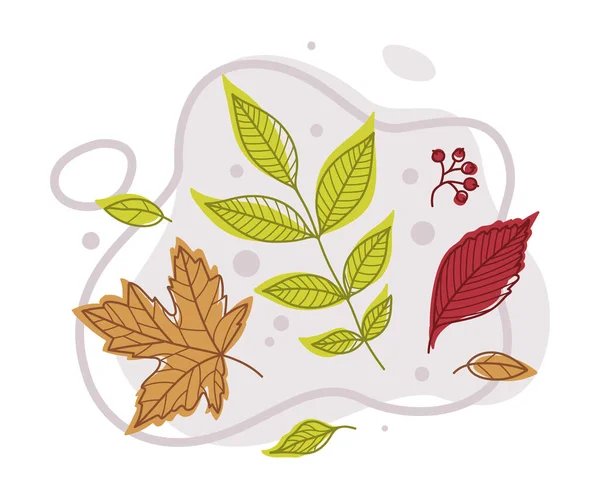 Осенняя яркая листва с разным цветовым векторным составом листьев — стоковый вектор