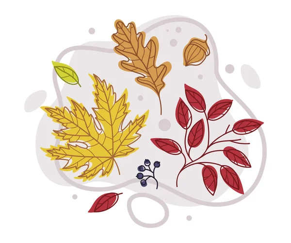 Autumn Bright Foliage with Different Leaf Color Vector Composition — Stock Vector