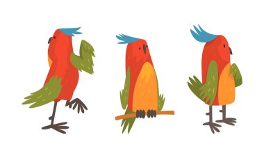 Komik papağan tünemesi, yürüyen ve ayakta duran vektör seti