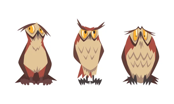 Feathered Owl with Big Yellow Eyes and Sharp Talon in Sitting Pose Vector Set — Stock Vector