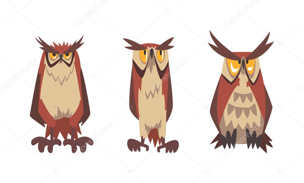 Feathered Owl with Big Yellow Eyes and Sharp Talon in Sitting Pose Vector Set