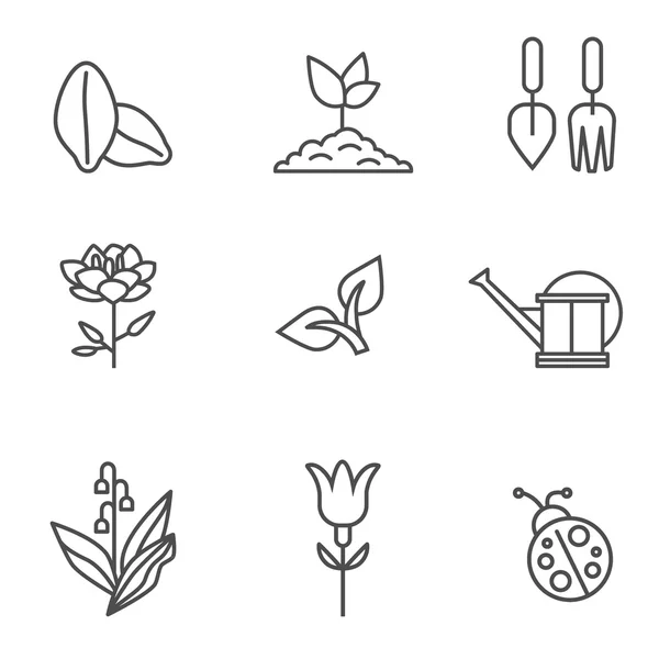 Iconos de plantas — Archivo Imágenes Vectoriales