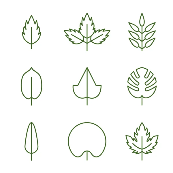 Leaf icon — Stock Vector