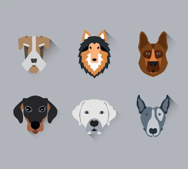 Conjunto de ícones plana de retrato de rosto cachorro — Vetor de Stock