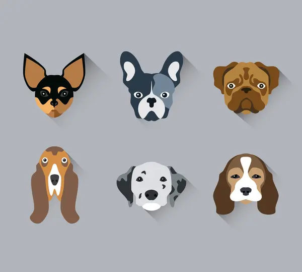 Conjunto de ícones plana de retrato de rosto cachorro — Vetor de Stock