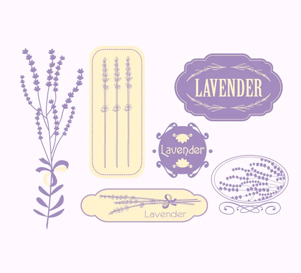 Vintage lavender background, aromatherapy and spa packaging design — Stock Vector