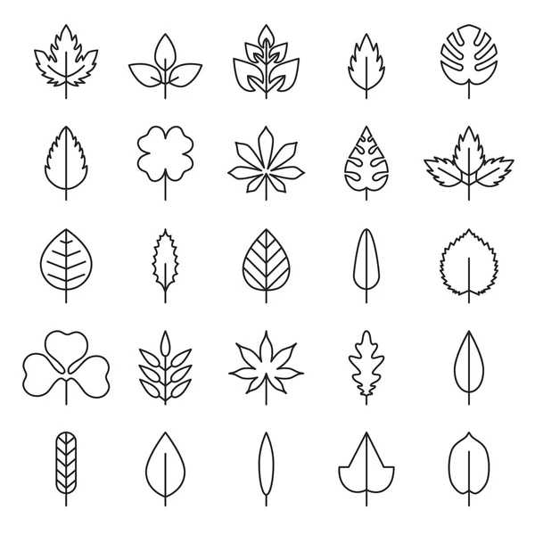 Leaf vector, flora, linear style black contour