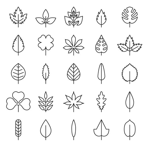 Leaf vector, flora, linear style black contour