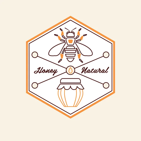 Sada štítků: včely a med — Stockový vektor