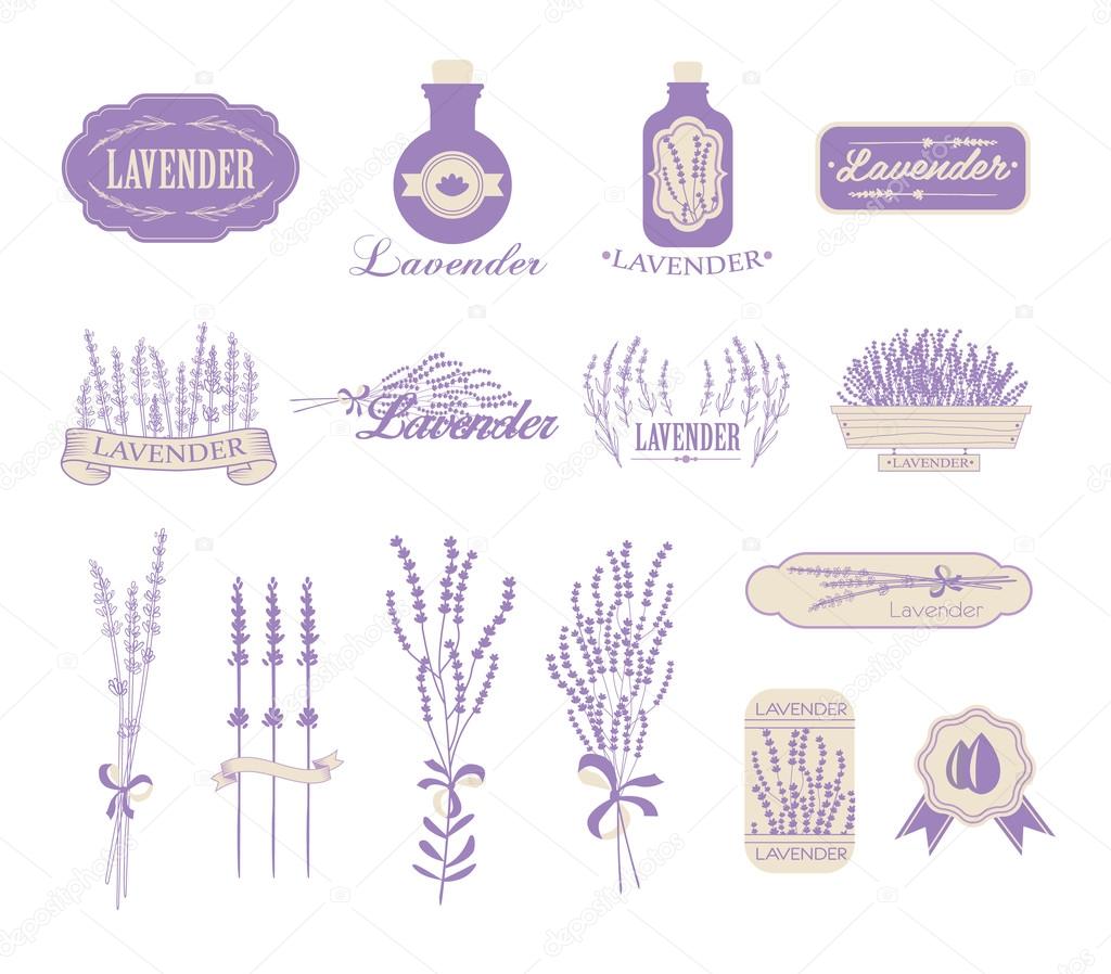 Vintage lavender background
