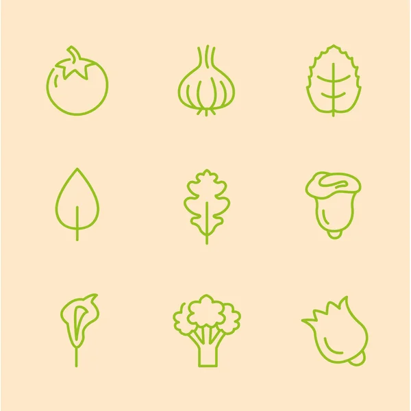 Icone vegetali in stile lineare — Vettoriale Stock