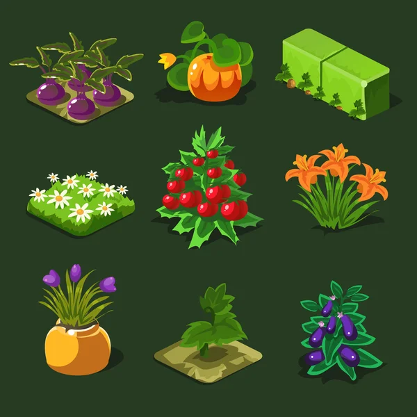 Set con flores y verduras — Vector de stock