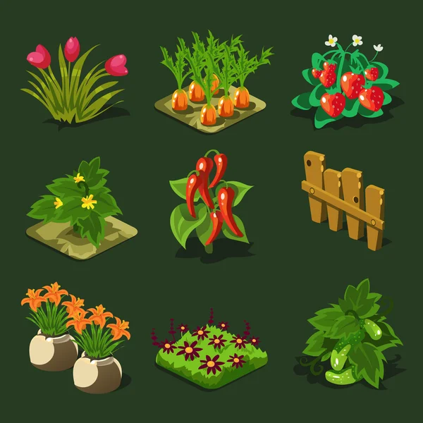 Set con flores y verduras — Vector de stock