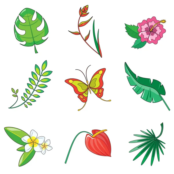 Tropické zahrady listy a květy — Stockový vektor