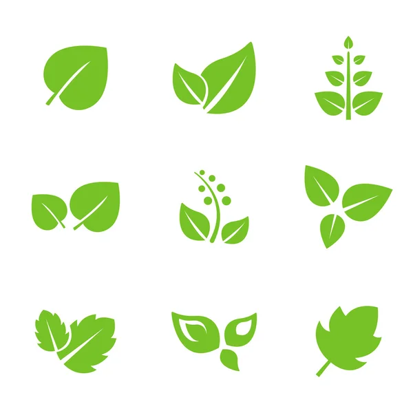 Set of green leaves — Stock Vector