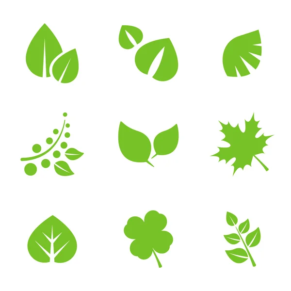 Set of green leaves — Stock Vector