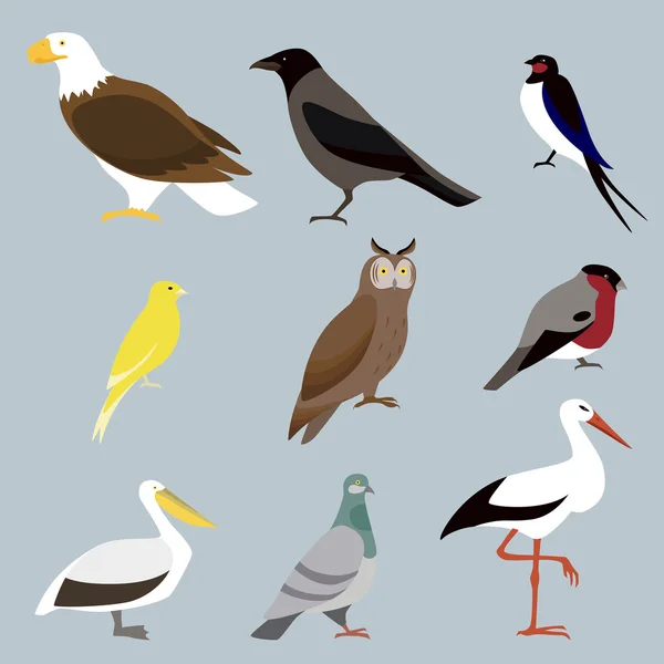 Conjunto de iconos aves — Vector de stock