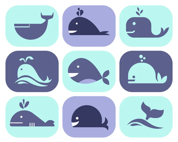 Collection of different whales, — Stock Vector