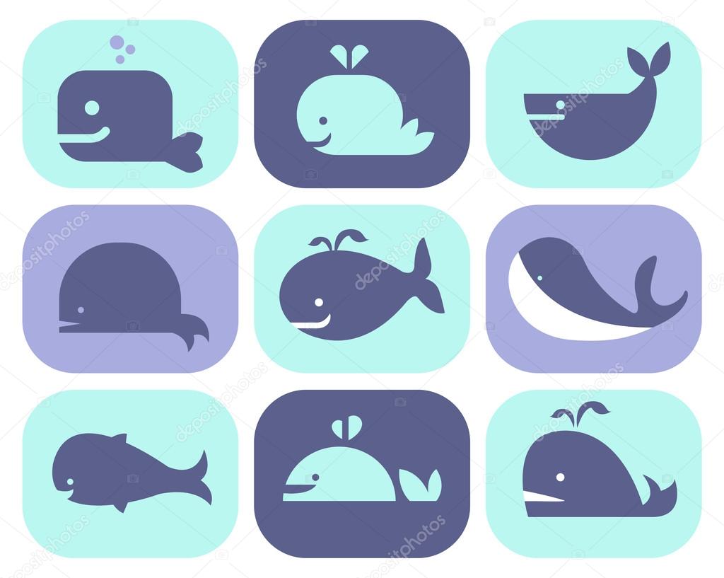 collection of different whales,