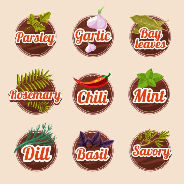 Bitki ve baharat seti