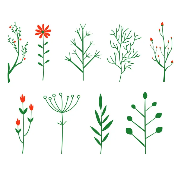 Dekorativní větvičky, štětec rostliny — Stockový vektor