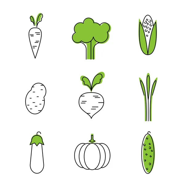 Différents types de légumes — Image vectorielle