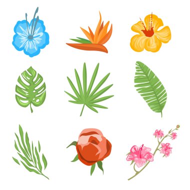 Geleneksel ve tropik çiçekler kümesi 