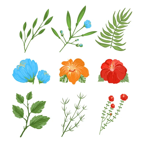 Set van traditionele en tropische bloemen — Stockvector