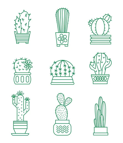 Set of vector cactus icons — Stock Vector