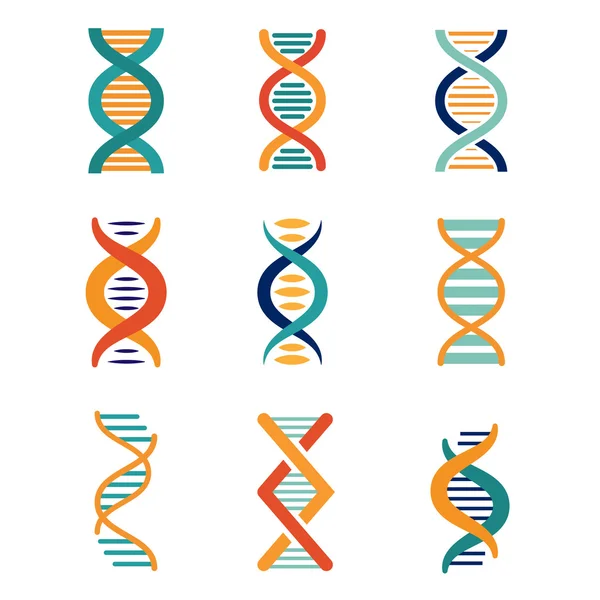 DNA, genetics vector icons — Stock Vector