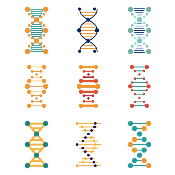 DNA, genetics vector icons — Stock Vector