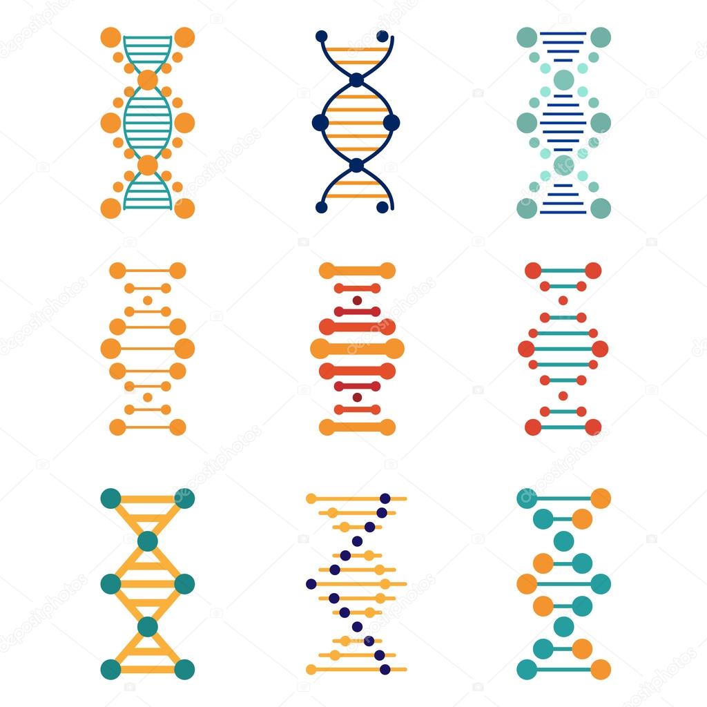 遺伝子ストックベクター ロイヤリティフリー遺伝子イラスト Depositphotos 遺伝子ストックベクター ロイヤリティフリー遺伝子イラスト Depositphotos