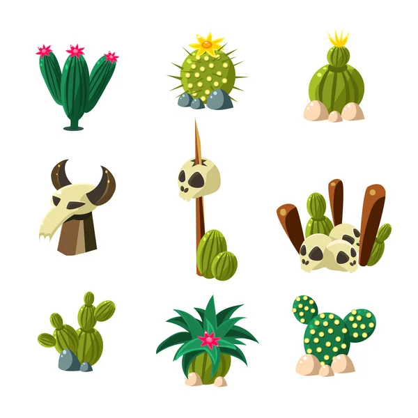 Różne rodzaje kaktusów — Wektor stockowy
