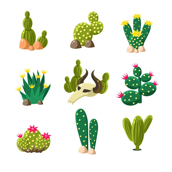 Různé typy kaktus rostlin — Stockový vektor