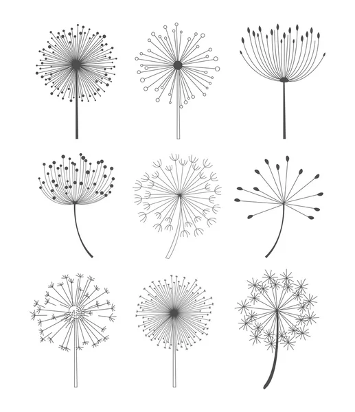 Siyah ve beyaz Dandelions vektör çizim ayarla