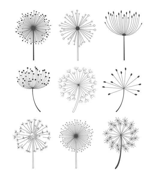 黑色和白色蒲公英设置矢量图 — 图库矢量图片