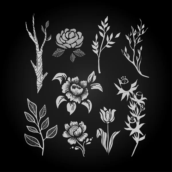 ファンタジー手描き花と植物セット。ベクトル図. — ストックベクタ