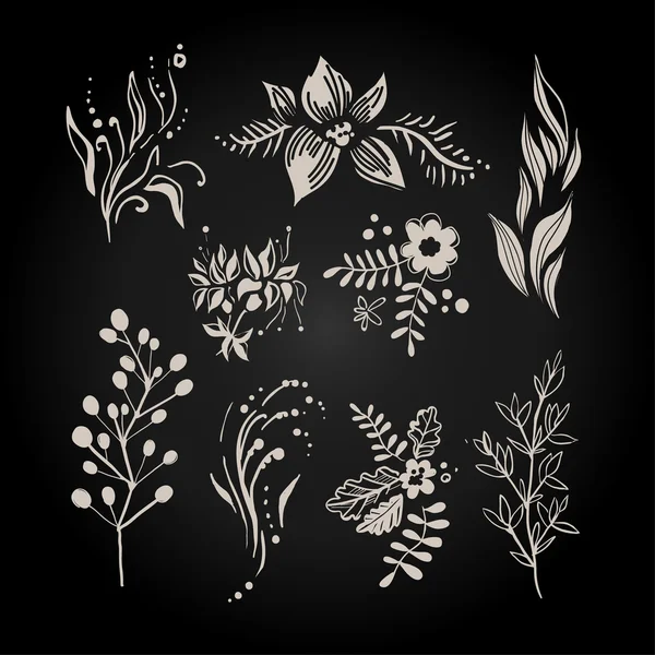 Fantasia mão desenhada Berry, Flower and Plant Set. Ilustração vetorial . —  Vetores de Stock