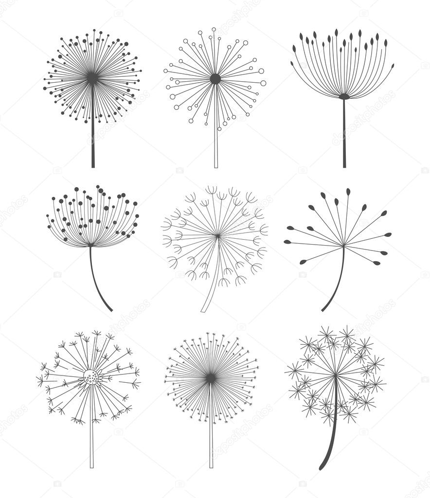 Black and White Dandelions Set Vector Illustration