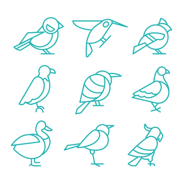 Icônes d'oiseaux, Style de ligne mince, Ensemble d'illustration vectorielle — Image vectorielle