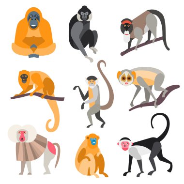 Set of Primates and Monkeys. Vector Illustration clipart