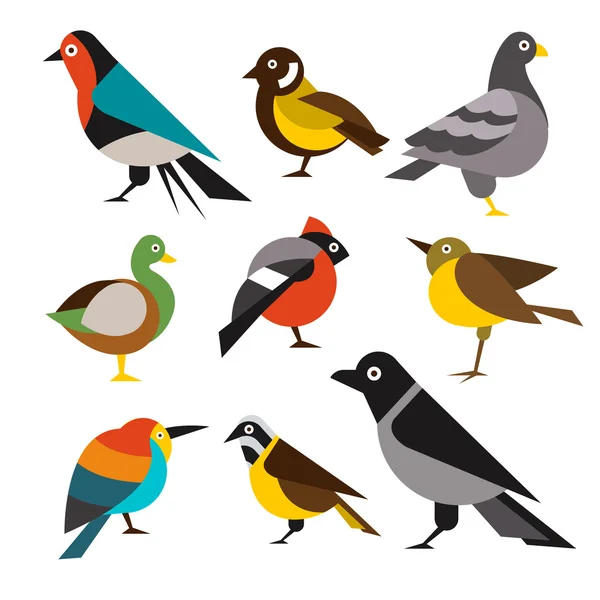 Set of Wild Birds in Flat Style. Ilustrasi Vektor - Stok Vektor