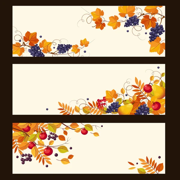 Őszi bannerek érett bogyók és levelek, vektoros illusztráció — Stock Vector