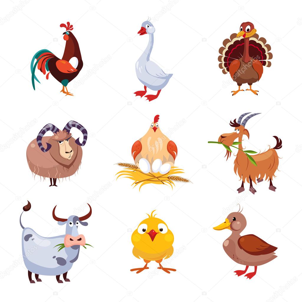 Animale da fattoria e uccelli illustrazione vettoriale Design piatto — Vettoriale Stock