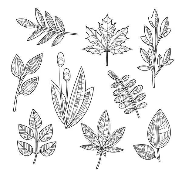 Conjunto de folhas e ramos em estilo artesanal, ilustração vetorial —  Vetores de Stock